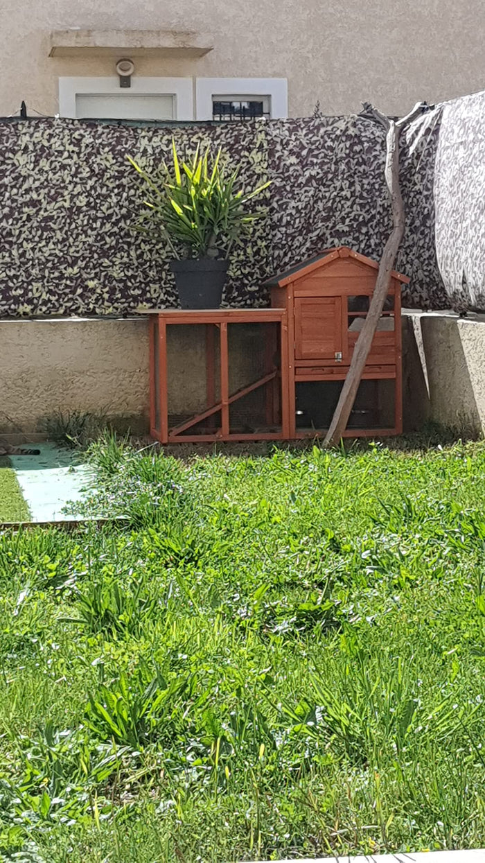 Photo de Antoine D.