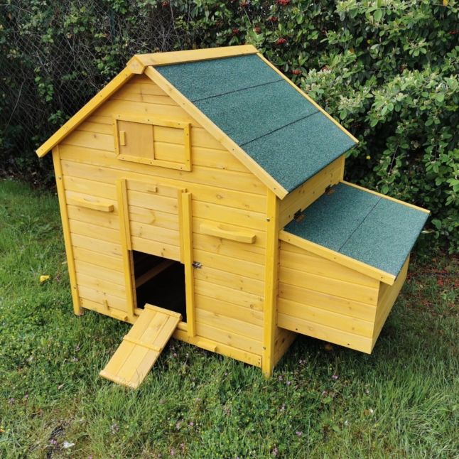 Poulailler Bassette XL toit shingle vert 6 à 8 poules